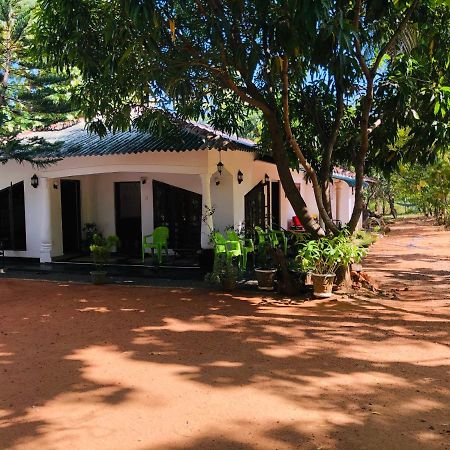 Dambulla City Hostel Extérieur photo