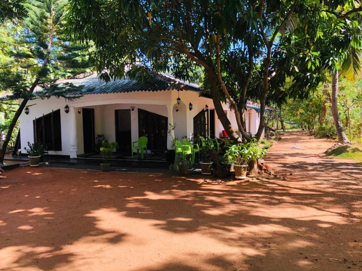 Dambulla City Hostel Extérieur photo