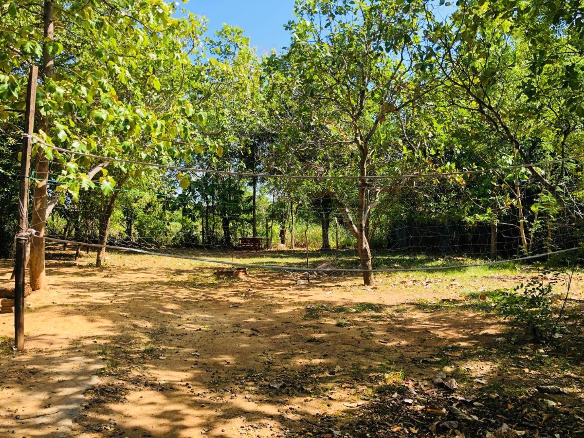 Dambulla City Hostel Extérieur photo